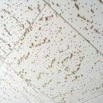 Asbestos - ceiling tiles